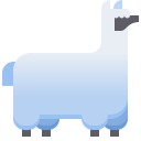 Alpaca