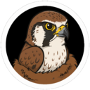 Falcond GUI