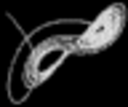 DS tool Tk
