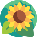 Hidamari