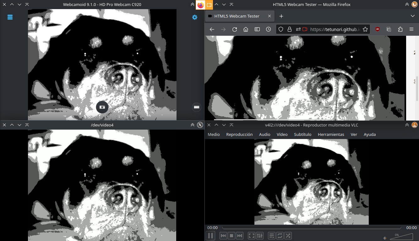 Webcamoid