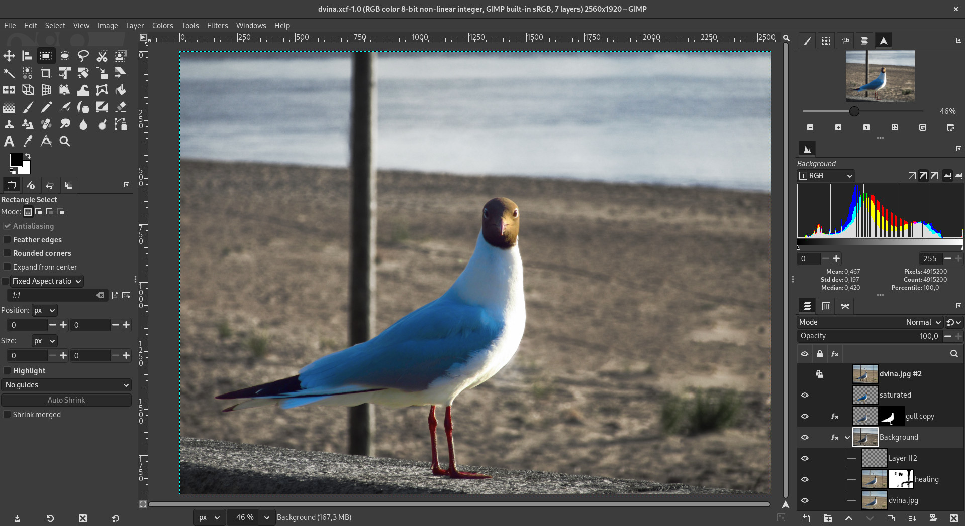 GNU Image Manipulation Program