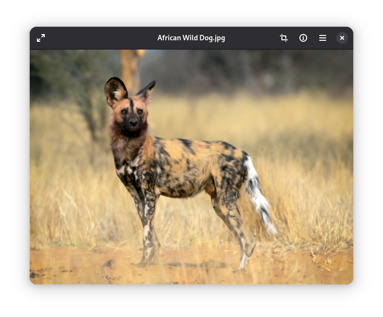 Image Viewer