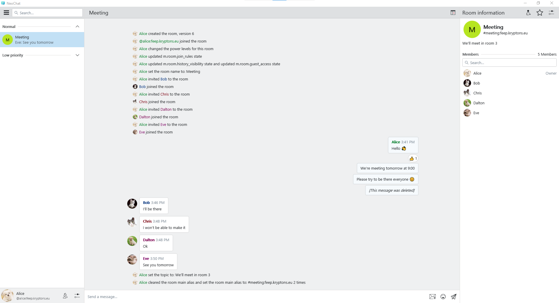 NeoChat