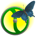 The Butterfly Effect